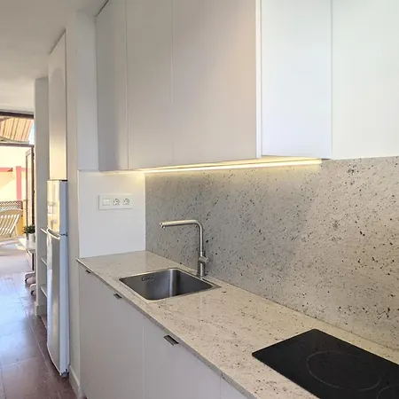 Penthouse Big Terrace Appartement Puerto de la Cruz (Tenerife)